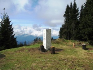 košenjak